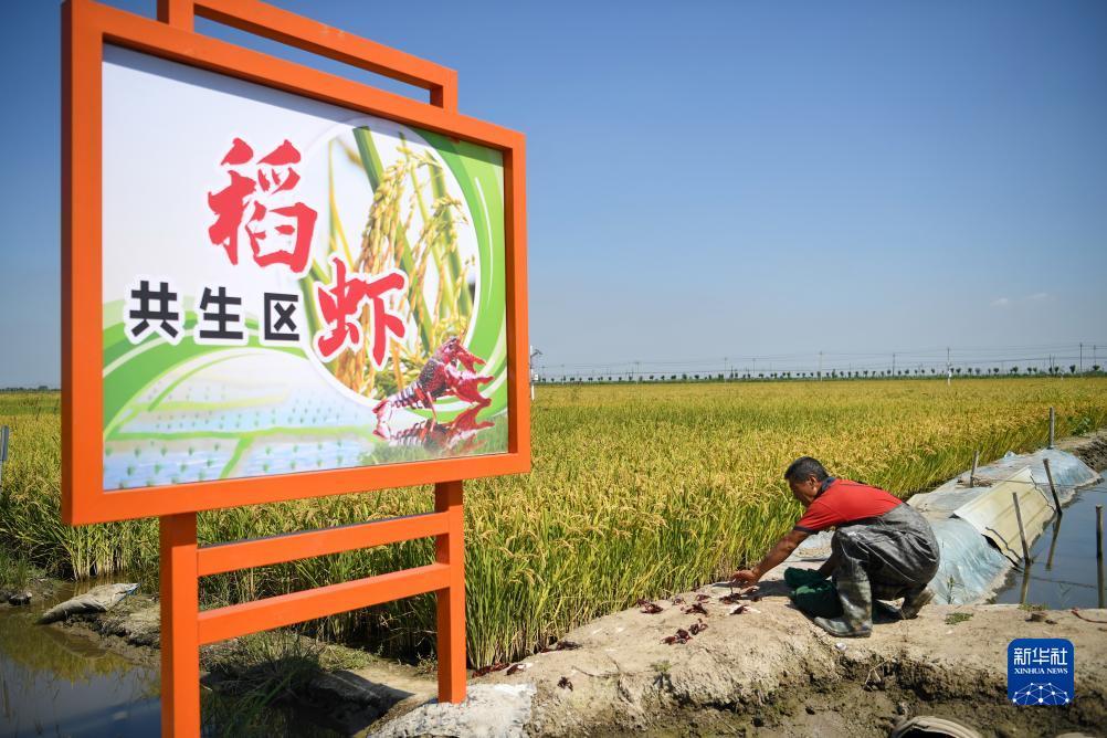 汇赢国际官网